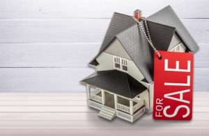 agence_immobilière