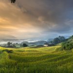 Environnement écologique