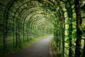 Pergola toulouse