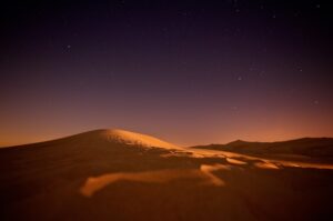 vie nocturne dans le désert