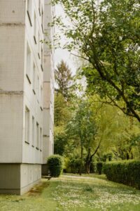 Haie de cèdre un choix populaire au Québec