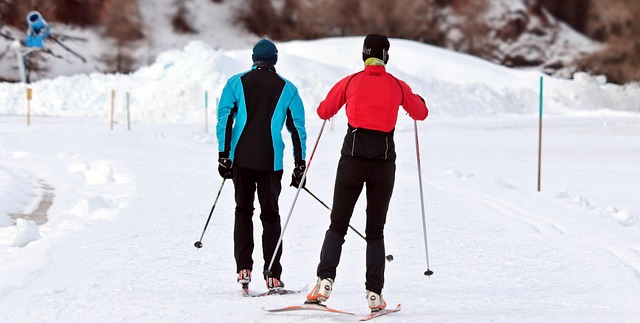 Le ski