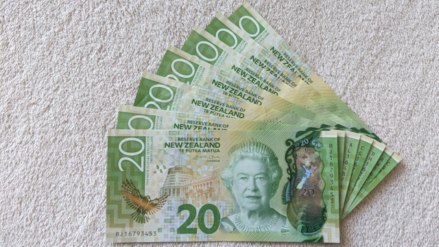 budget mensuel