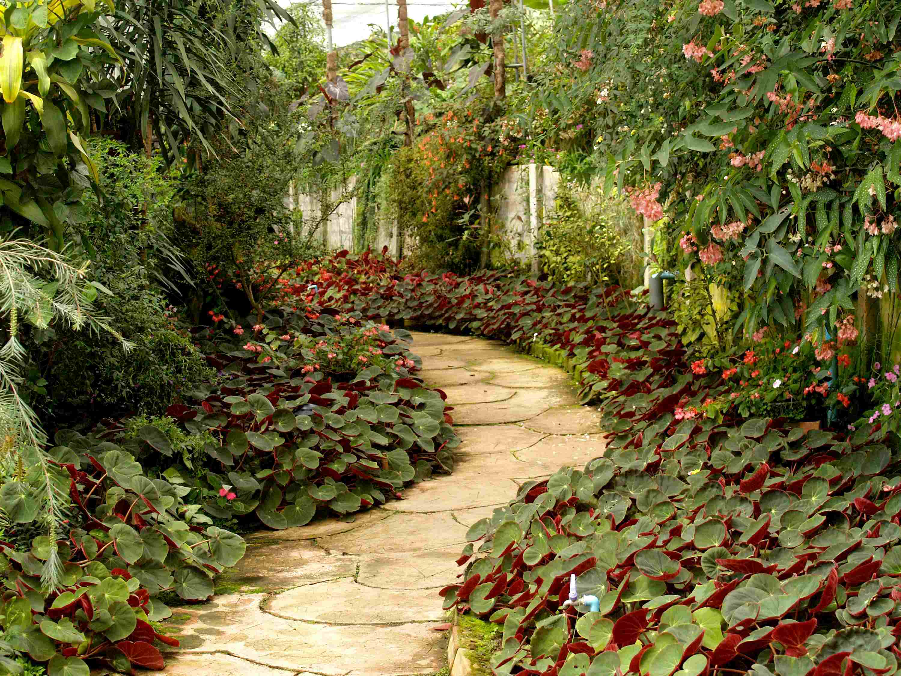 Harmonie naturelle : intégrer le jardin dans votre maison