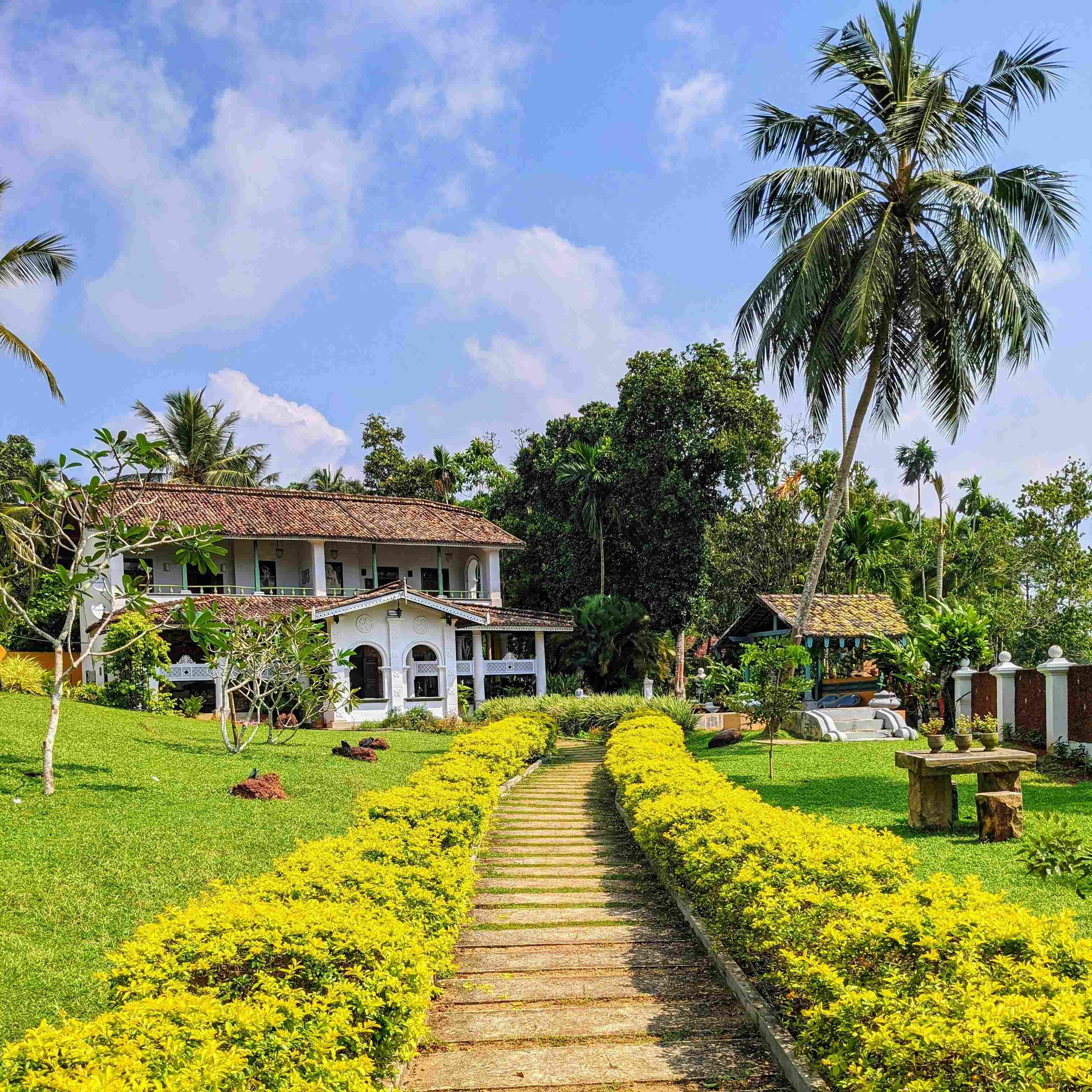 3 astuces pour aménager un jardin immobilier durable