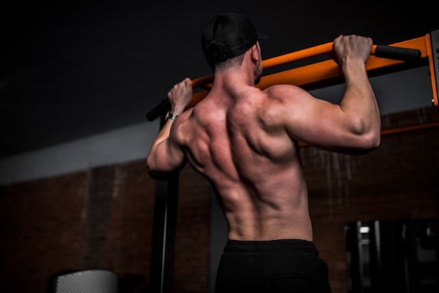 génétique en musculation